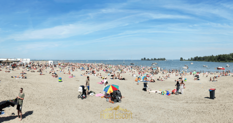 Beach Beaches Around Amsterdam