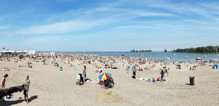 Beach Beaches Around Amsterdam