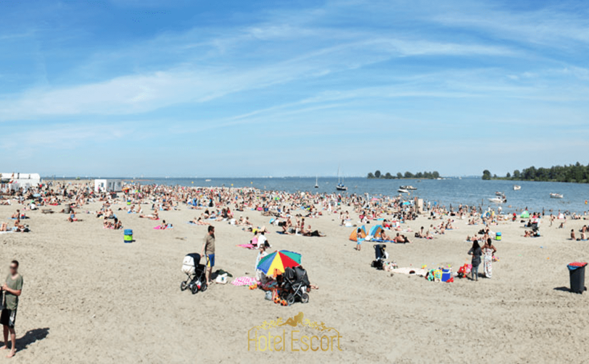 Beach Beaches Around Amsterdam